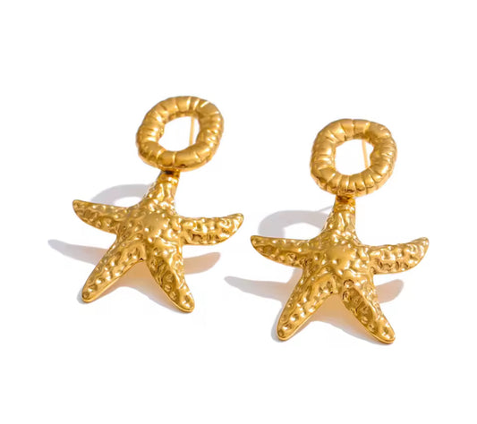 Aretes Estrella M